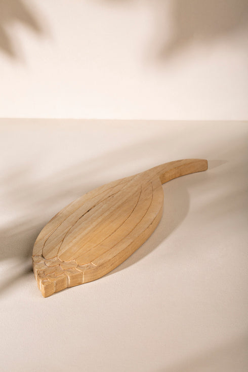 IRREGULAR SEED SHAPE WITH CARVED SURFACE